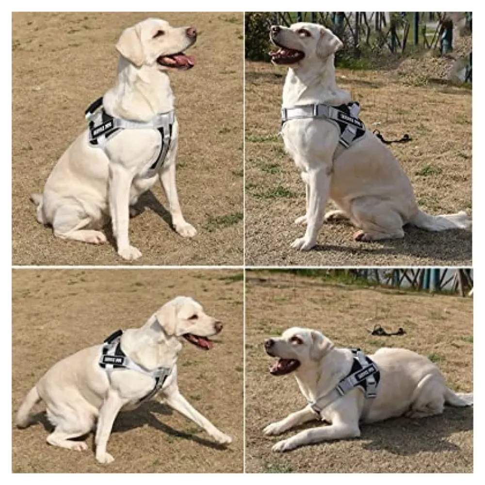 Upgraded Silver Black Dog Harness Body Belt Dog Vest Loop Straps and Handle and Adjustable