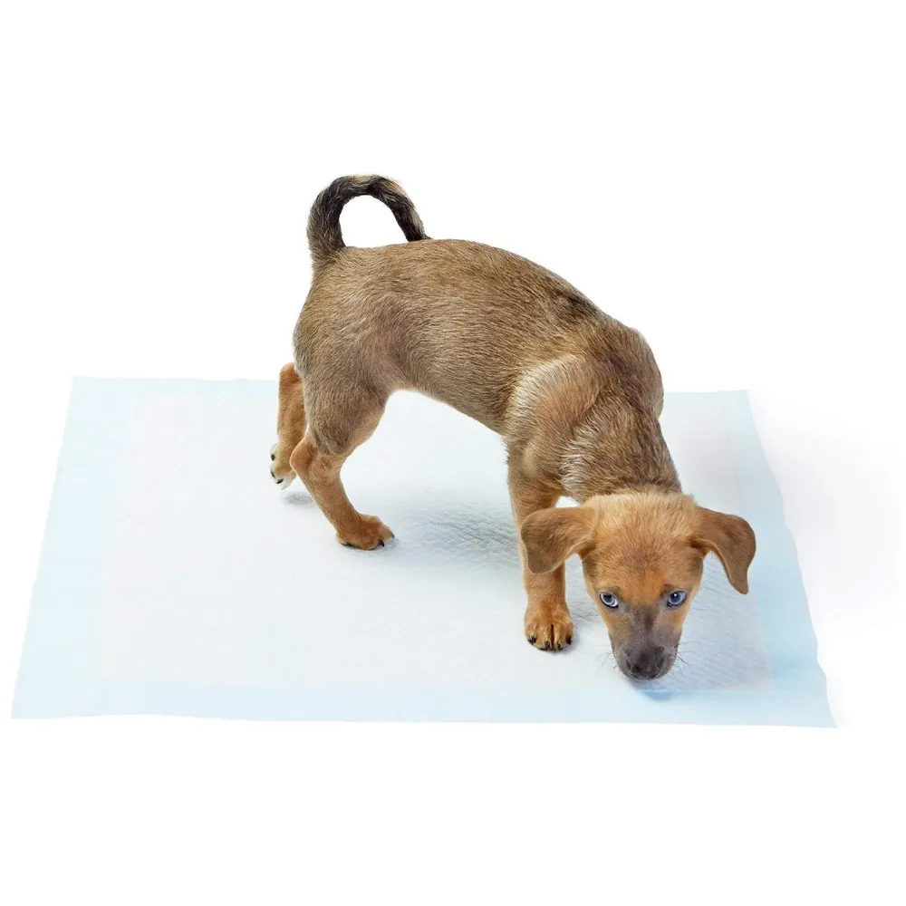 200 Pcs Dog Pee Urine Pad ~ Pee Pads Ideal for House Breaking and Potty Training (Small 33 x 45 CMS, 200)