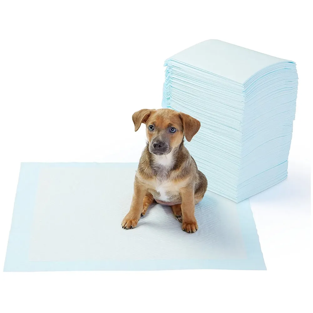 Puppy Training Pee Pads Ideal for House Breaking and Potty Training (Large 60 X 60 CMS, 80), 80 Pieces