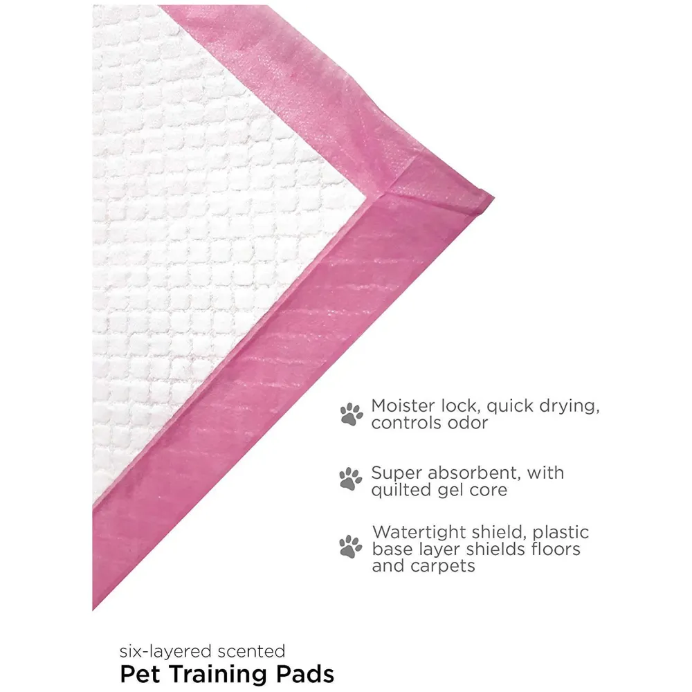 40 Pc Large Puppy Pee Pad ~ Pee Pads Ideal for House Breaking and Potty Training Large 60 x 60 CMS, 40pcs - 24 inch x 24 inch