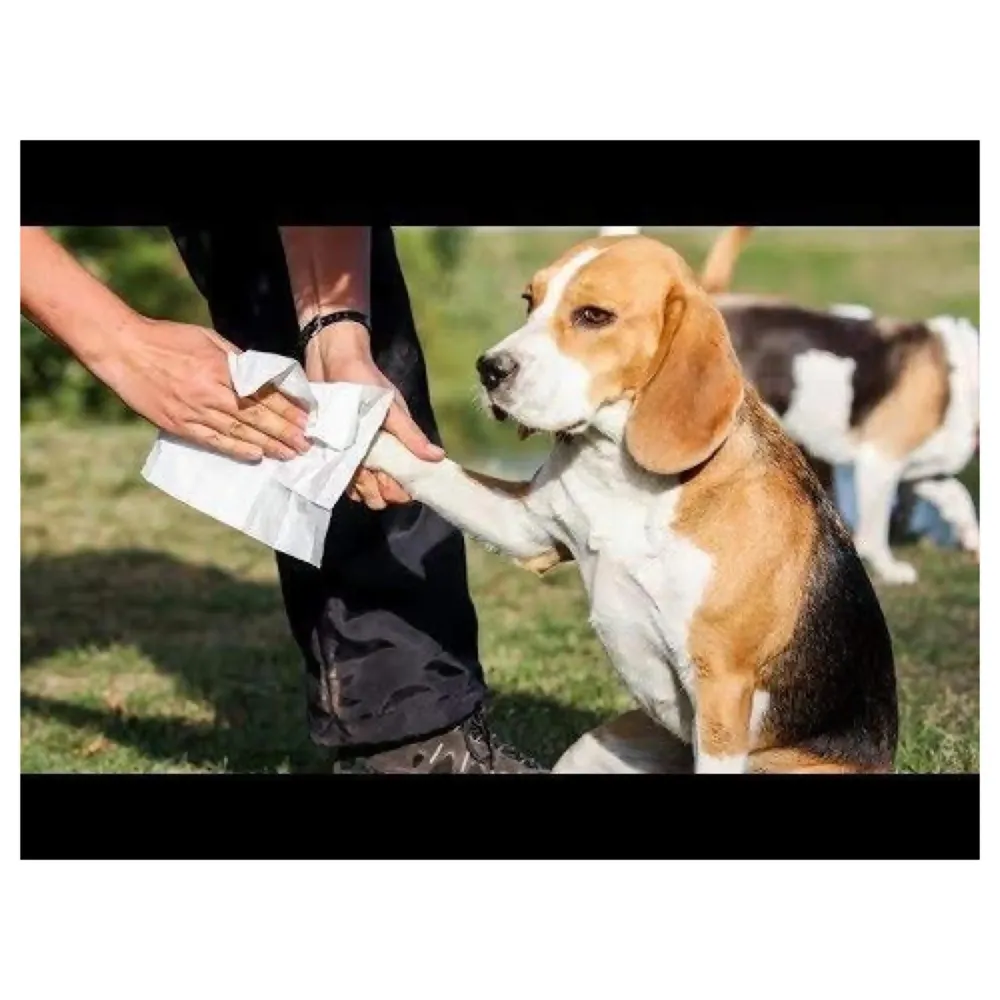 Small Breeds Portable Durable Cleaning Cup with Silicone Bristles Pet Paw Cleaner, 1 Piece - 5