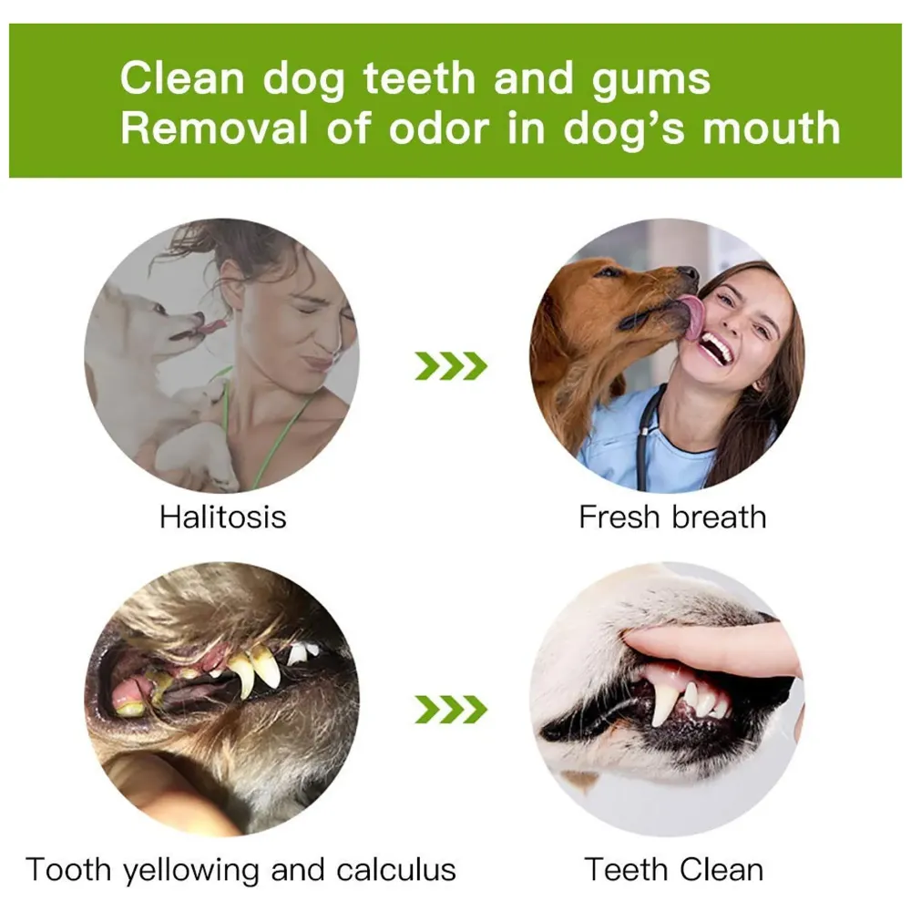 Dog Toothbrush Stick-Puppy Dental Care Brushing Stick Effective Doggy Teeth Cleaning Massager Nontoxic Natural Rubber Bite Resistant Chew Toys for Dogs Pets (Large breeds)