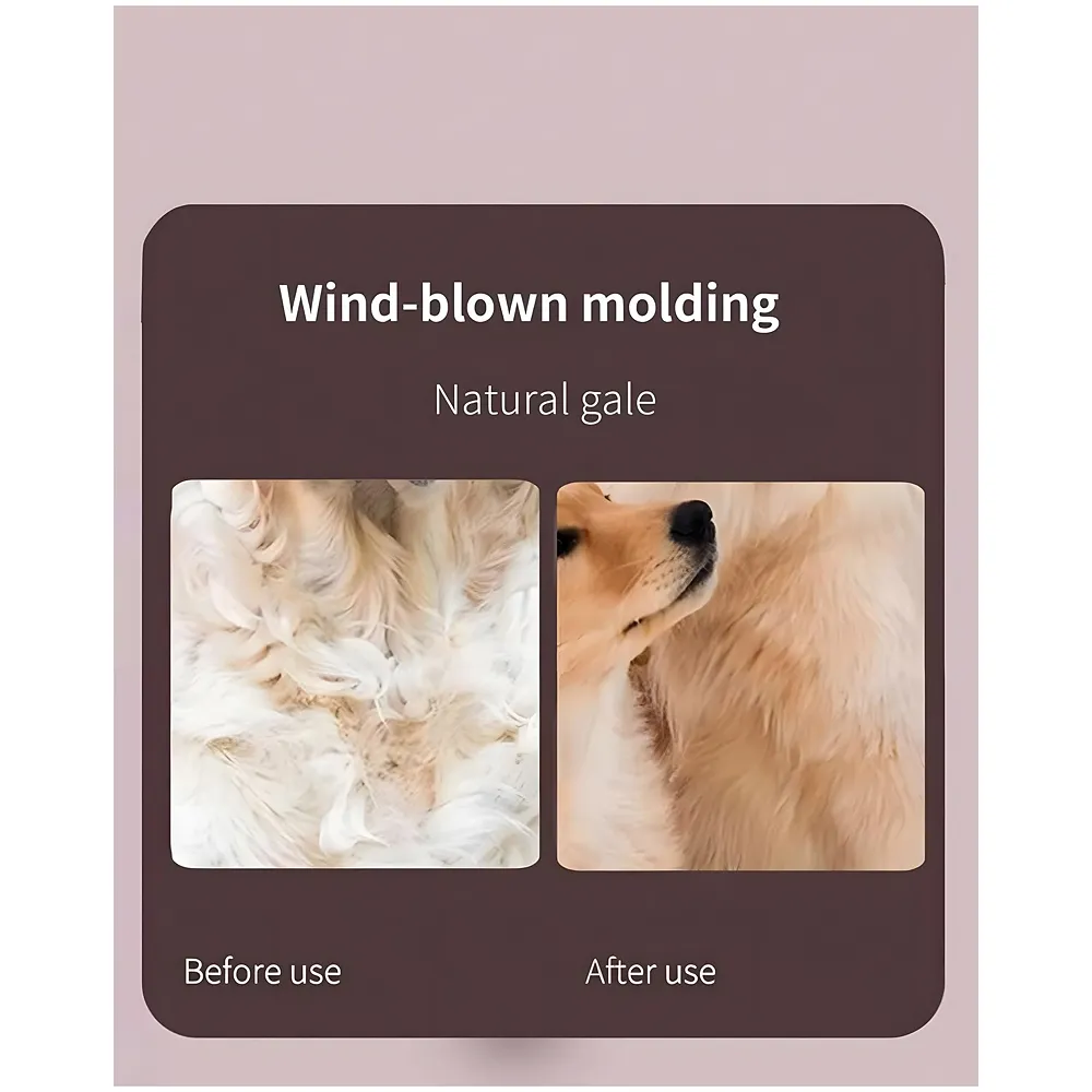 Pet Blower Dry Bath for Dogs and Cats