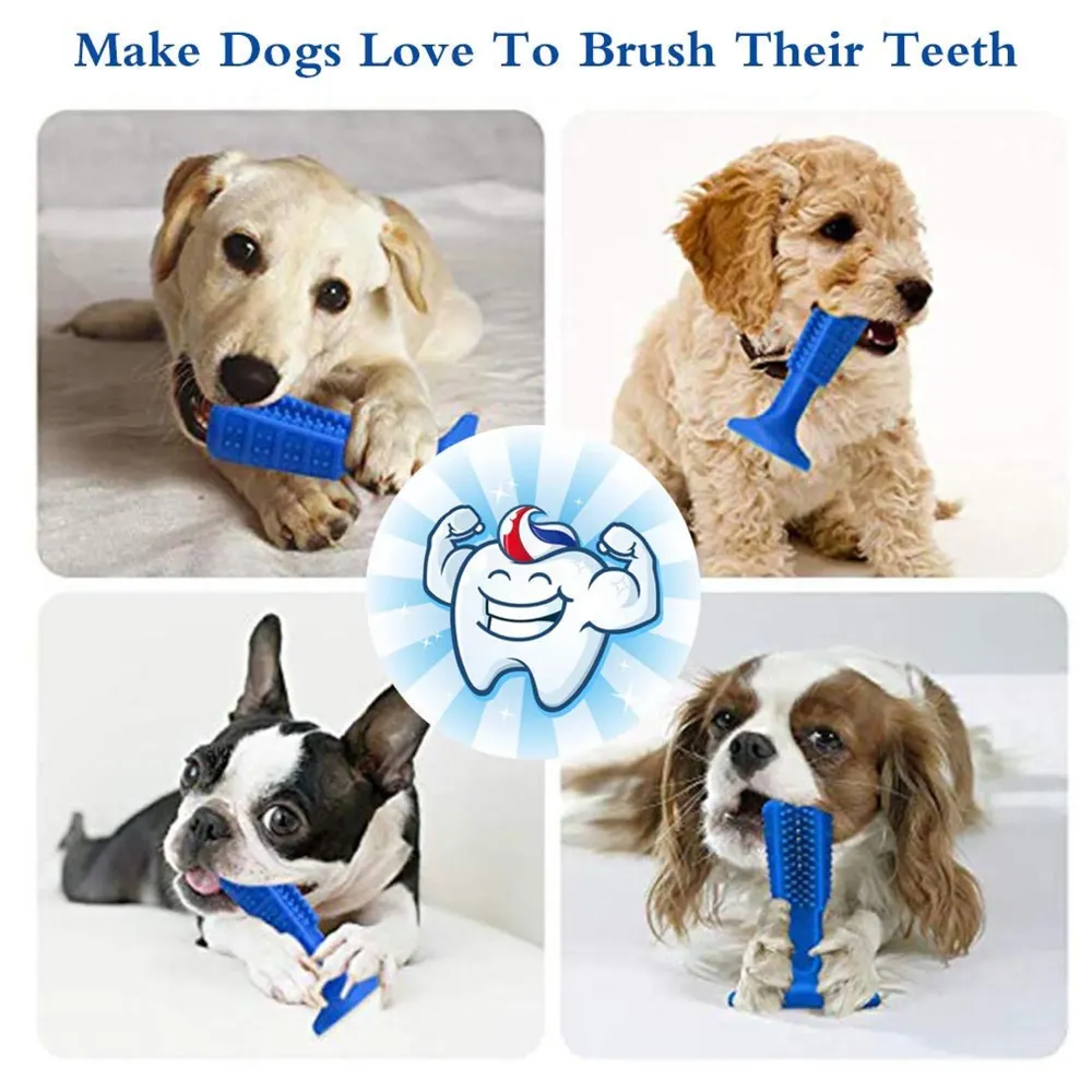 Dog Toothbrush Stick-Puppy Dental Care Brushing Stick Effective Doggy Teeth Cleaning Massager Nontoxic Natural Rubber Bite Resistant Chew Toys for Dogs Pets (Small Breeds Blue)