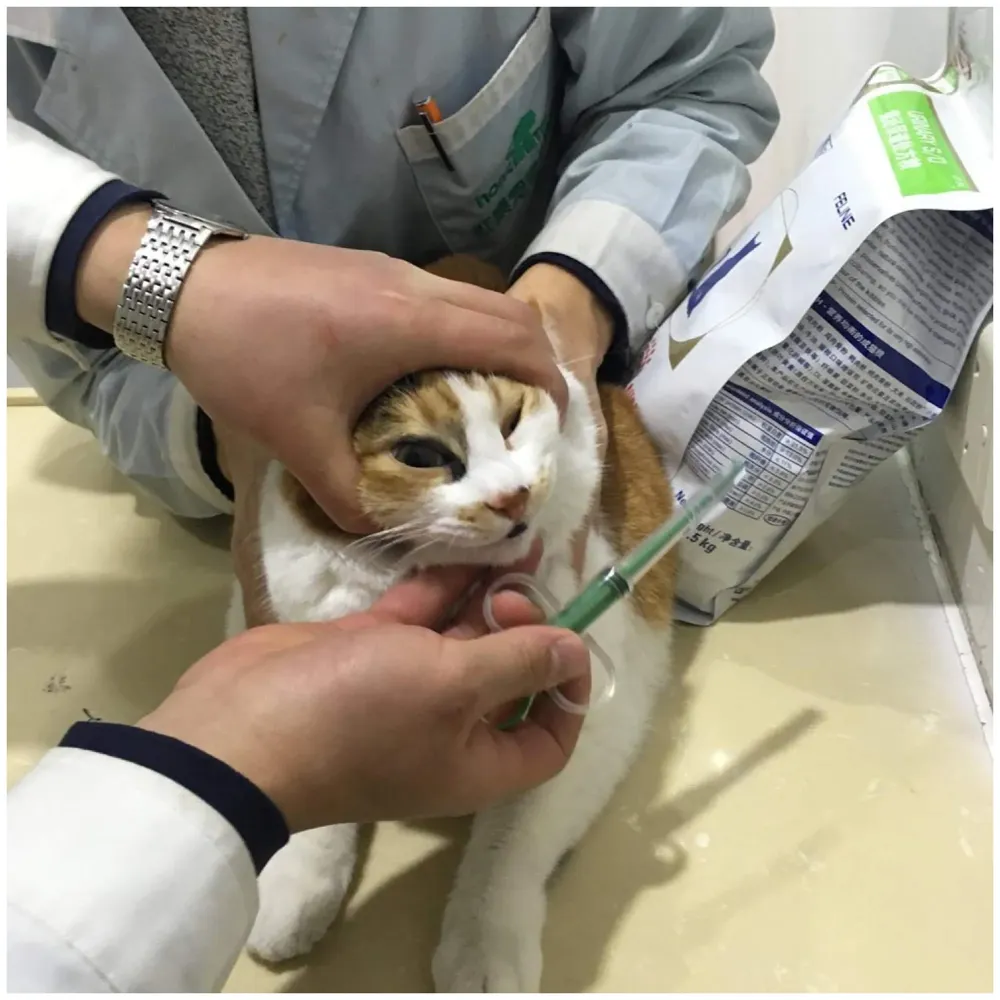 Pet Pill Dispenser, Pet Pill Tablet Shooter with Soft Silicone Tip, Medicine Feeding Dispenser Pill Pusher Water Dropper Feeding Kit for Dogs Cats Small Animals (Green)