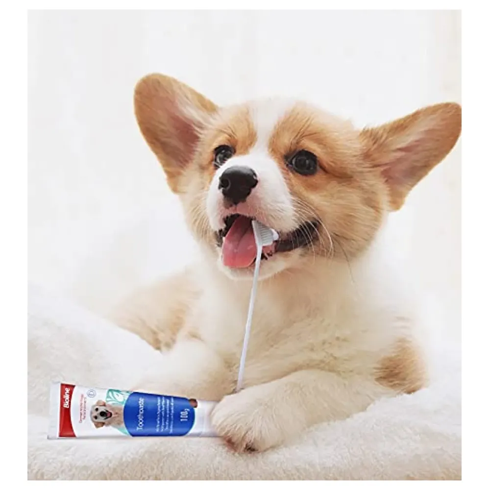 Chicken Dog Tooth Brushing Kit Teeth Cleaning Kit Plaque and Tartar Control Toothpaste with 3 Toothbrush for Dogs Eliminates Bad Breath, Dog Toothpaste Chicken Flavour. - 3