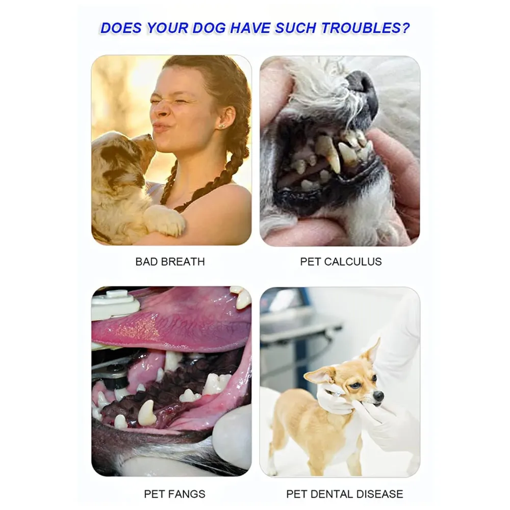 Chicken Dog Tooth Brushing Kit Teeth Cleaning Kit Plaque and Tartar Control Toothpaste with 3 Toothbrush for Dogs Eliminates Bad Breath, Dog Toothpaste Chicken Flavour. - 6