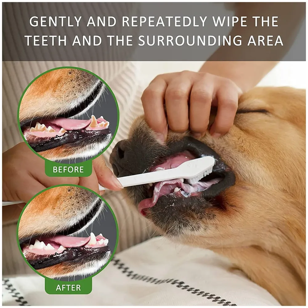 Mint Dog Tooth Brushing Kit Teeth Cleaning Kit Plaque and Tartar Control Toothpaste with 3 Toothbrush for Dogs Eliminates Bad Breath, Dog Toothpaste Mint Flavour. - 3