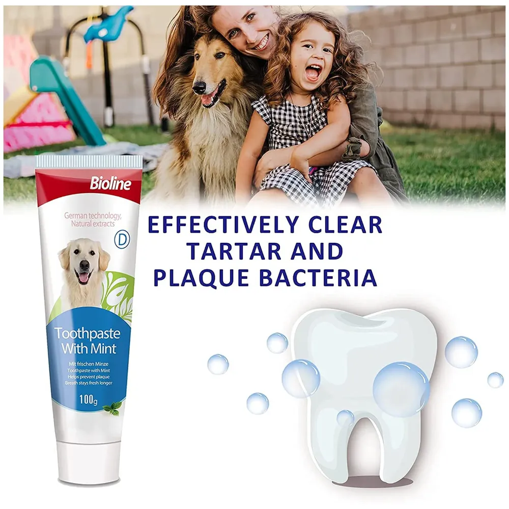 Mint Dog Tooth Brushing Kit Teeth Cleaning Kit Plaque and Tartar Control Toothpaste with 3 Toothbrush for Dogs Eliminates Bad Breath, Dog Toothpaste Mint Flavour. - 6