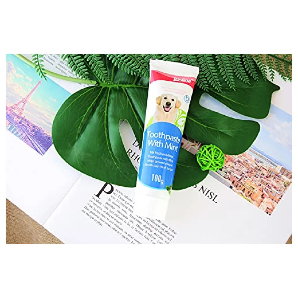 Mint Dog Tooth Brushing Kit Teeth Cleaning Kit Plaque and Tartar Control Toothpaste with 3 Toothbrush for Dogs Eliminates Bad Breath, Dog Toothpaste Mint Flavour. Premium