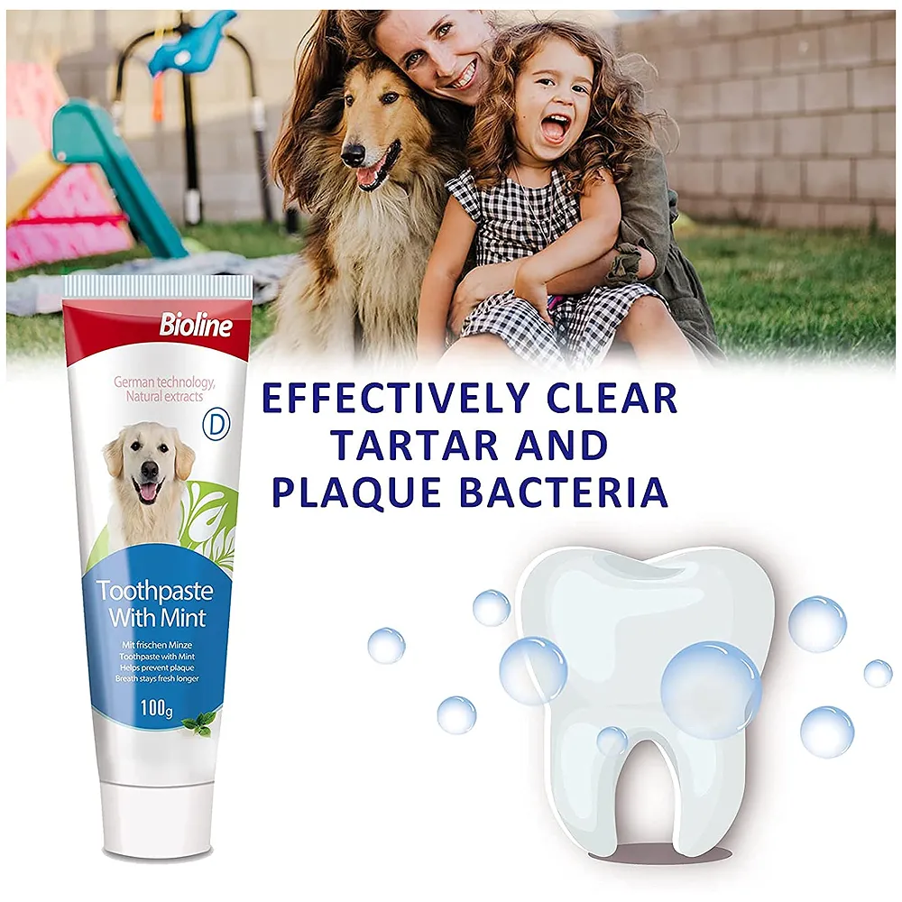Mint Dog Tooth Brushing Kit Teeth Cleaning Kit Plaque and Tartar Control Toothpaste with 3 Toothbrush for Dogs Eliminates Bad Breath, Dog Toothpaste Mint Flavour. Premium