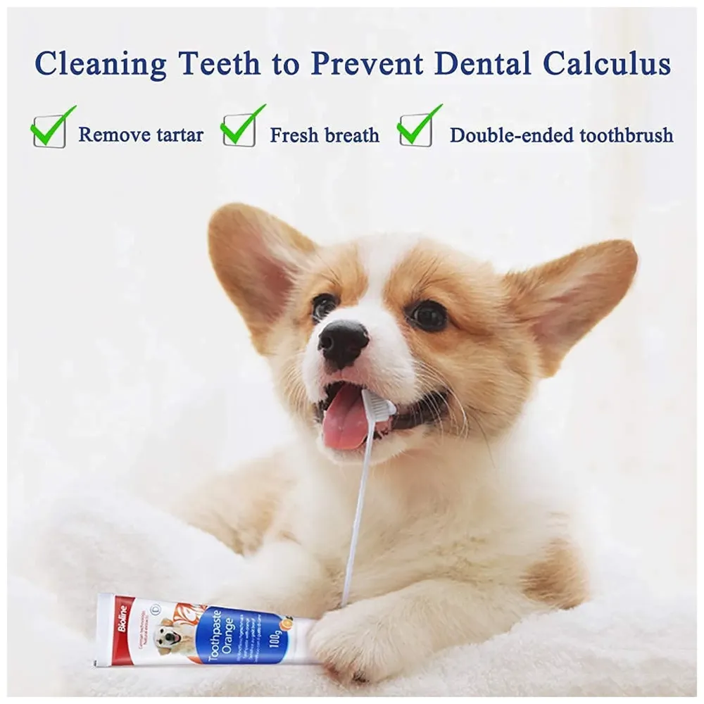 Orange Dog Tooth Brushing Kit Teeth Cleaning Kit Plaque and Tartar Control Toothpaste with 3 Toothbrush for Dogs Eliminates Bad Breath, Dog Toothpaste Orange Flavour. - 3