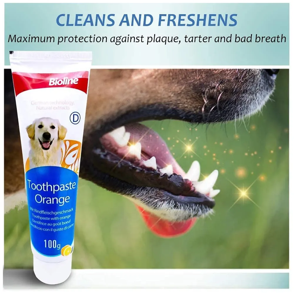 Orange Dog Tooth Brushing Kit Teeth Cleaning Kit Plaque and Tartar Control Toothpaste with 3 Toothbrush for Dogs Eliminates Bad Breath, Dog Toothpaste Orange Flavour. - 4