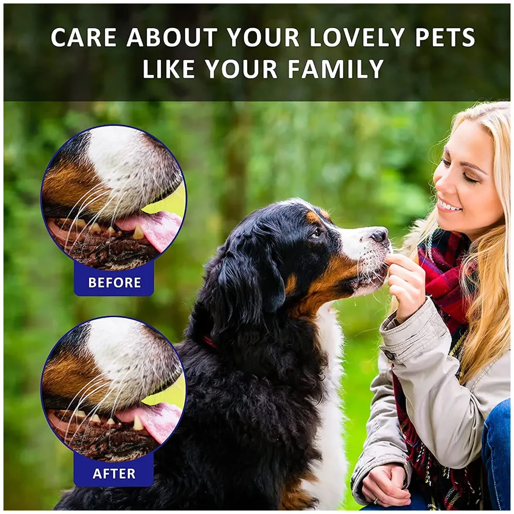 Orange Dog Tooth Brushing Kit Teeth Cleaning Kit Plaque and Tartar Control Toothpaste with 3 Toothbrush for Dogs Eliminates Bad Breath, Dog Toothpaste Orange Flavour. - 5