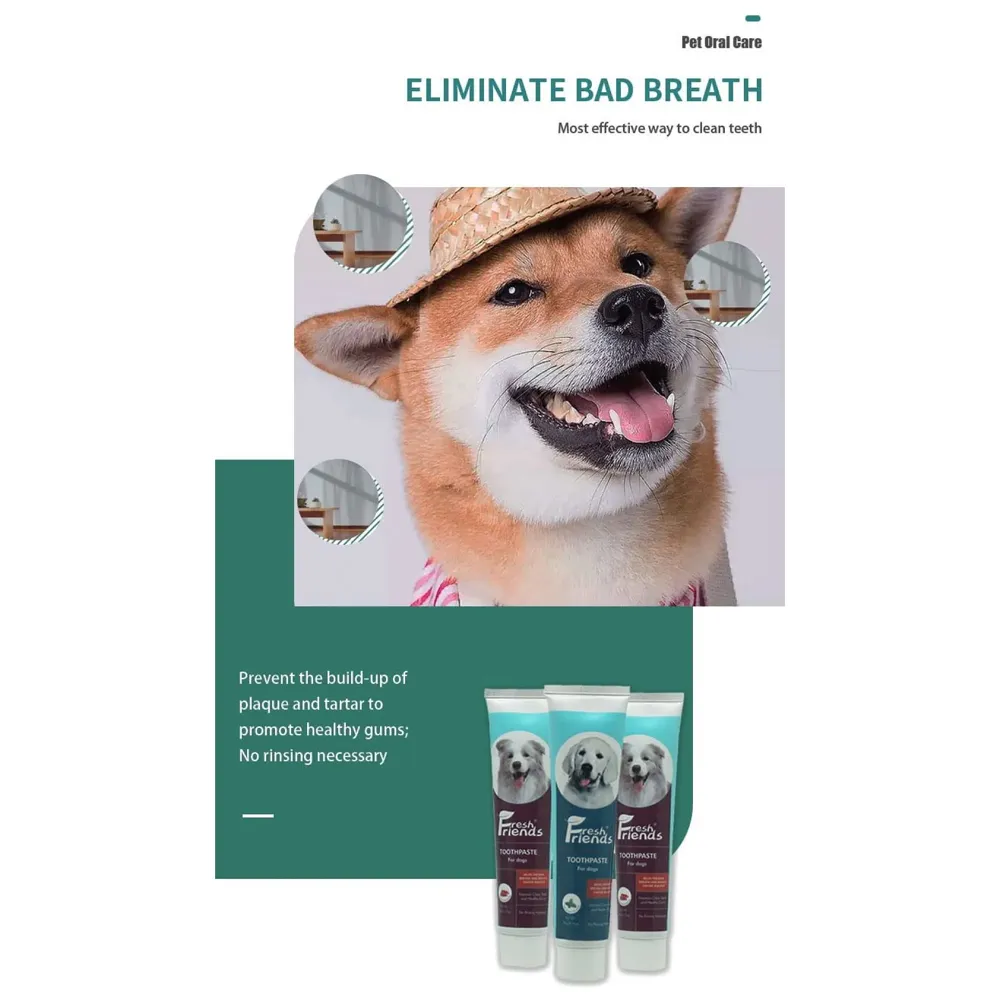 Mint Dog Tooth Brushing Kit Teeth Cleaning Kit Plaque and Tartar Control Toothpaste with 1 Toothbrush for Dogs Eliminates Bad Breath, Dog Toothpaste Mint Flavour. - 3