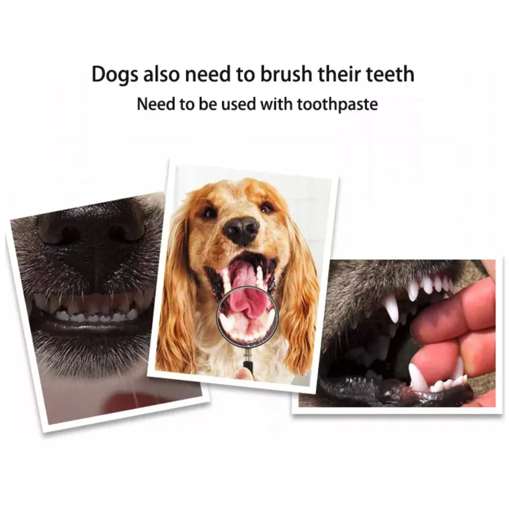 Dog Toothbrush Set of 3 – Dual Headed Dental Hygiene Brushes for Small to Large Dogs, Cats - 5