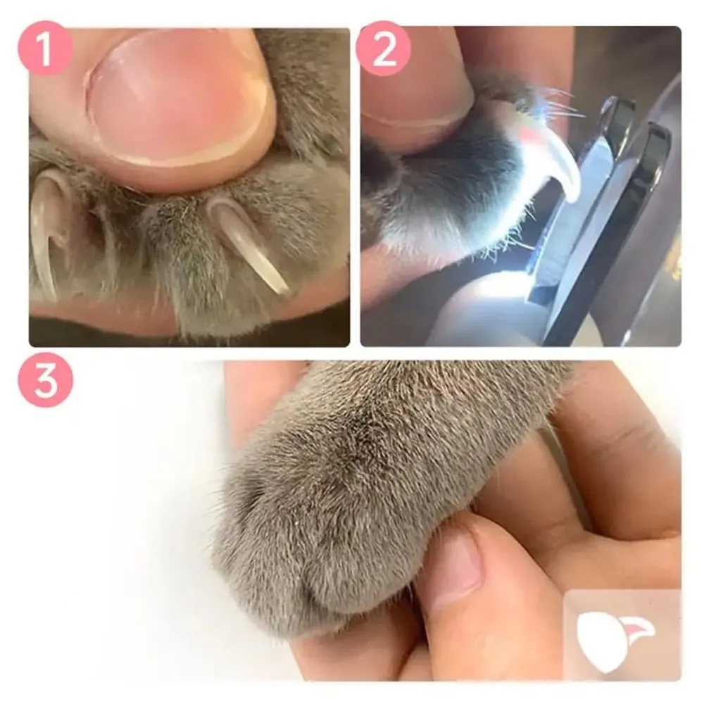 Pets Nail Trimmer, Dog and Cat Nail Cutter Clipper LED Lights for Pets Nail Grinder Filer Grooming Pet
