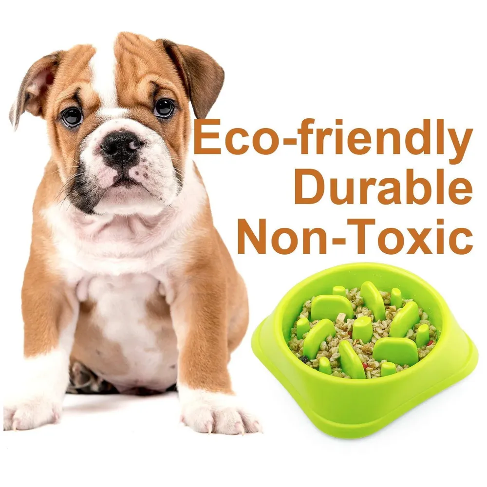 Slow Feeding Bowl for Dogs (Blue) - 6