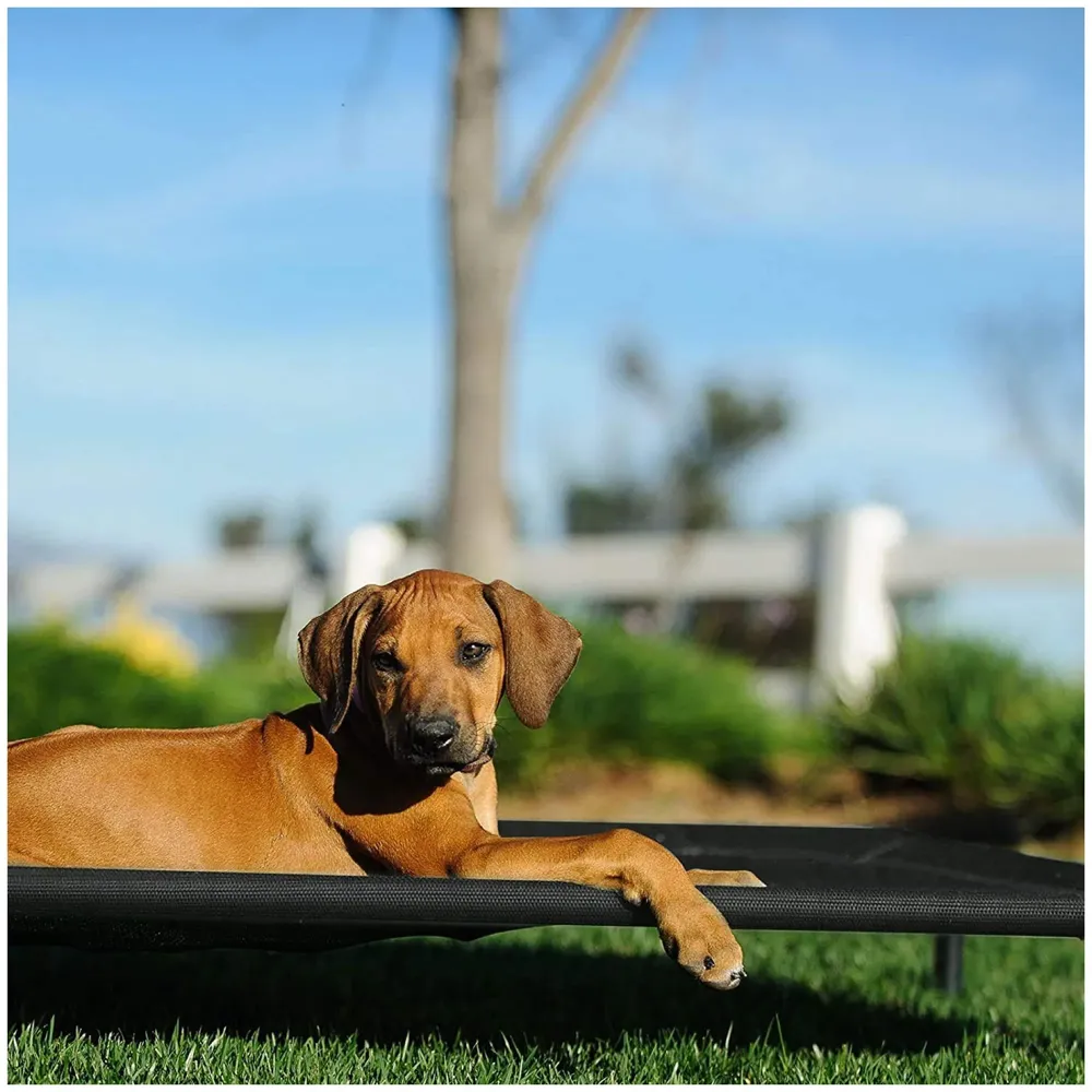 Elevated Dog Bed, Portable Raised Pet Cot, Sturdy & Breathable Mat, Durable Mesh Fabric, No-Slip Feet, Indoor or Outdoor Use. (Medium (36 x 24 Inch)) - 3