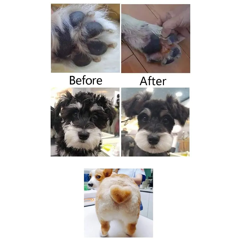 Pet Paw Shaver trimmer for fine hair inside the paws and a perfect specific percise cut Black