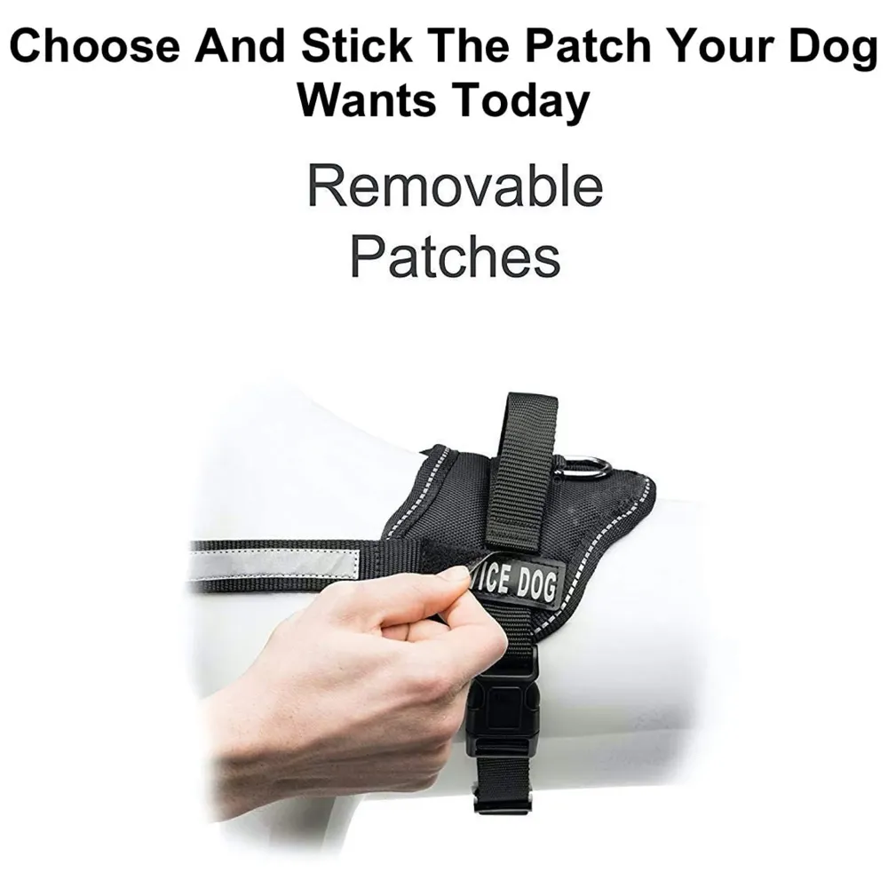 Harness Replacement Tags for Large and XL Harnesses Pack of 10 Pcs - 3