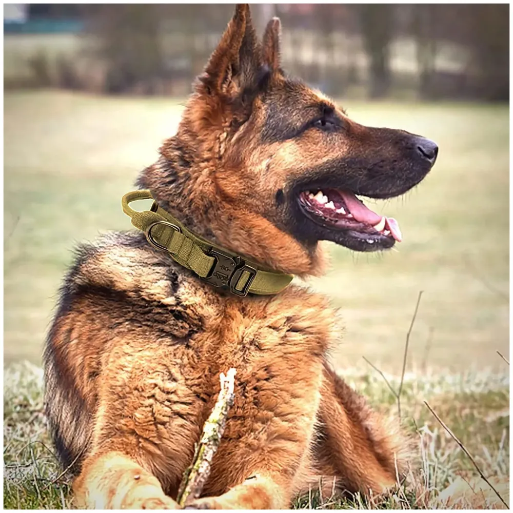 Dog Collar Adjustable Nylon Tactical Dog Collar Military Collar with Strap Handle Dog Training Collar Quick Release Metal Buckle (Large - 16-21 Inch) - 4