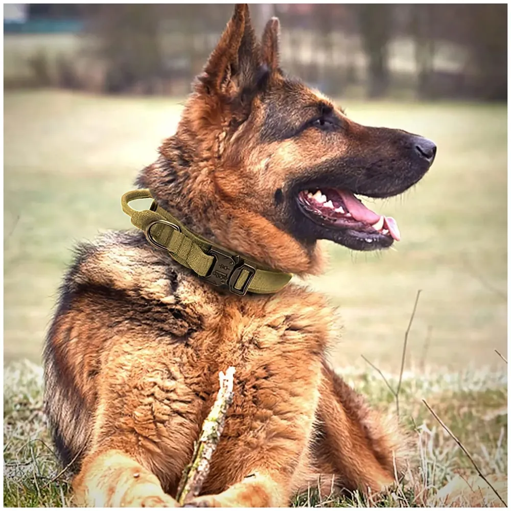 Dog Collar Adjustable Nylon Tactical Dog Collar Military Collar with Strap Handle Dog Training Collar Quick Release Metal Buckle (Medium - 14-19 Inch)