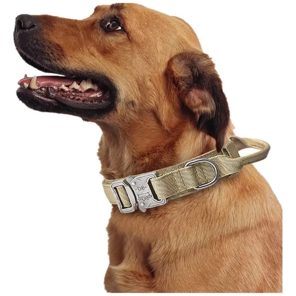 Dog Collar Adjustable Nylon Tactical Dog Collar Military Collar with Strap Handle Dog Training Collar Quick Release Metal Buckle (Medium - 14-19 Inch)
