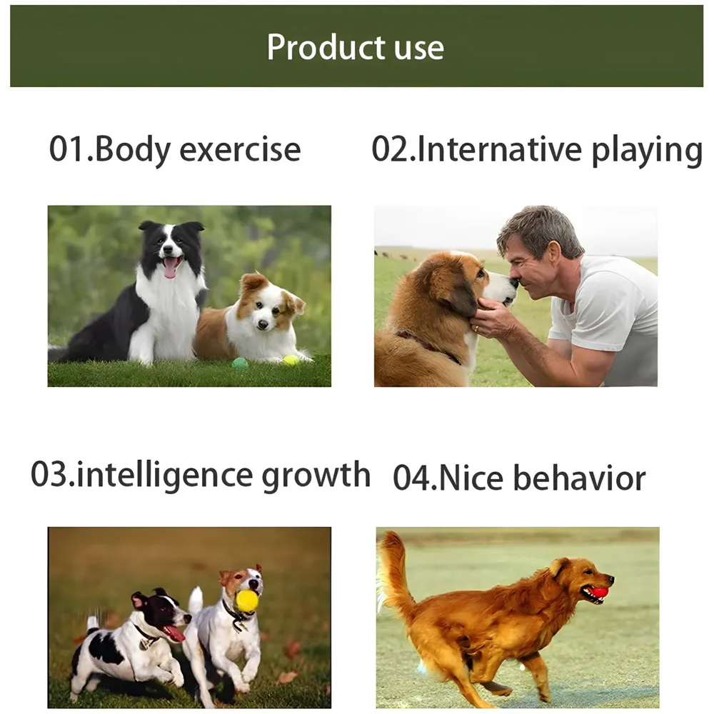 Pet Dog Ball Launcher, Ball Thrower-Interactive Toys, 1 Launcher and 2 Balls, 24 Inches.