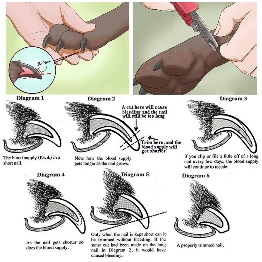 Professional Automatic Rechargeable Unisex Pet Hair Trimmer For Dogs And Cats (Trimmer), Battery Powered, Multicolor