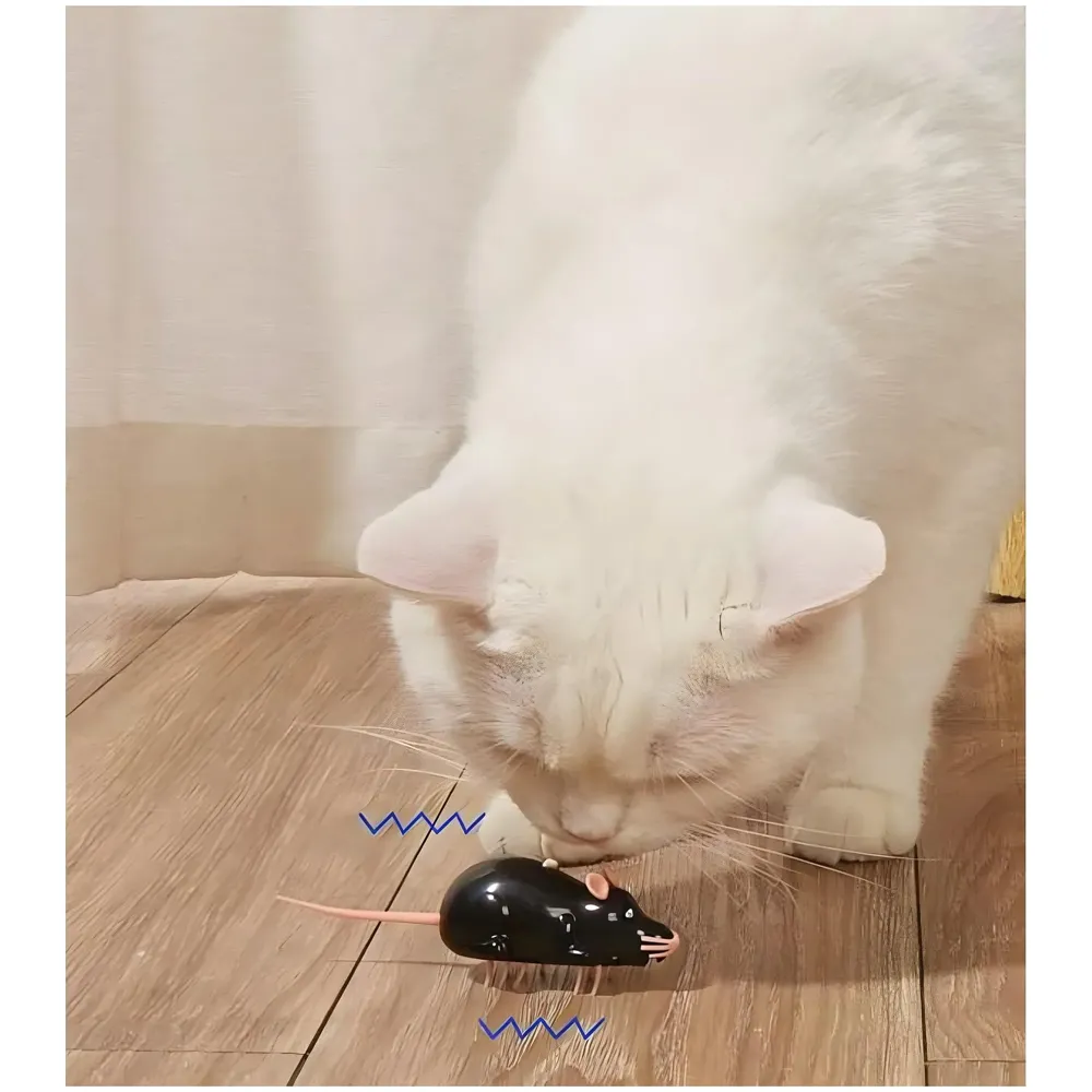 Automatic Interactive Vibrating Mouse Cat Teaser Toy Animal Shape Plaything Simulation Tricky Props Interactive Toy for Cats Kittens Colour May Vary - 9