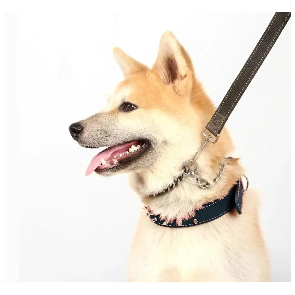 Spiked Dog Collar Adjustable PU Leather Tactical Metal Buckle for 52 cm to 45 Cm Neck Girth Spiked Thorn for Medium and Large Dogs Like Golden Retriever Labrador German Shepard Doberman