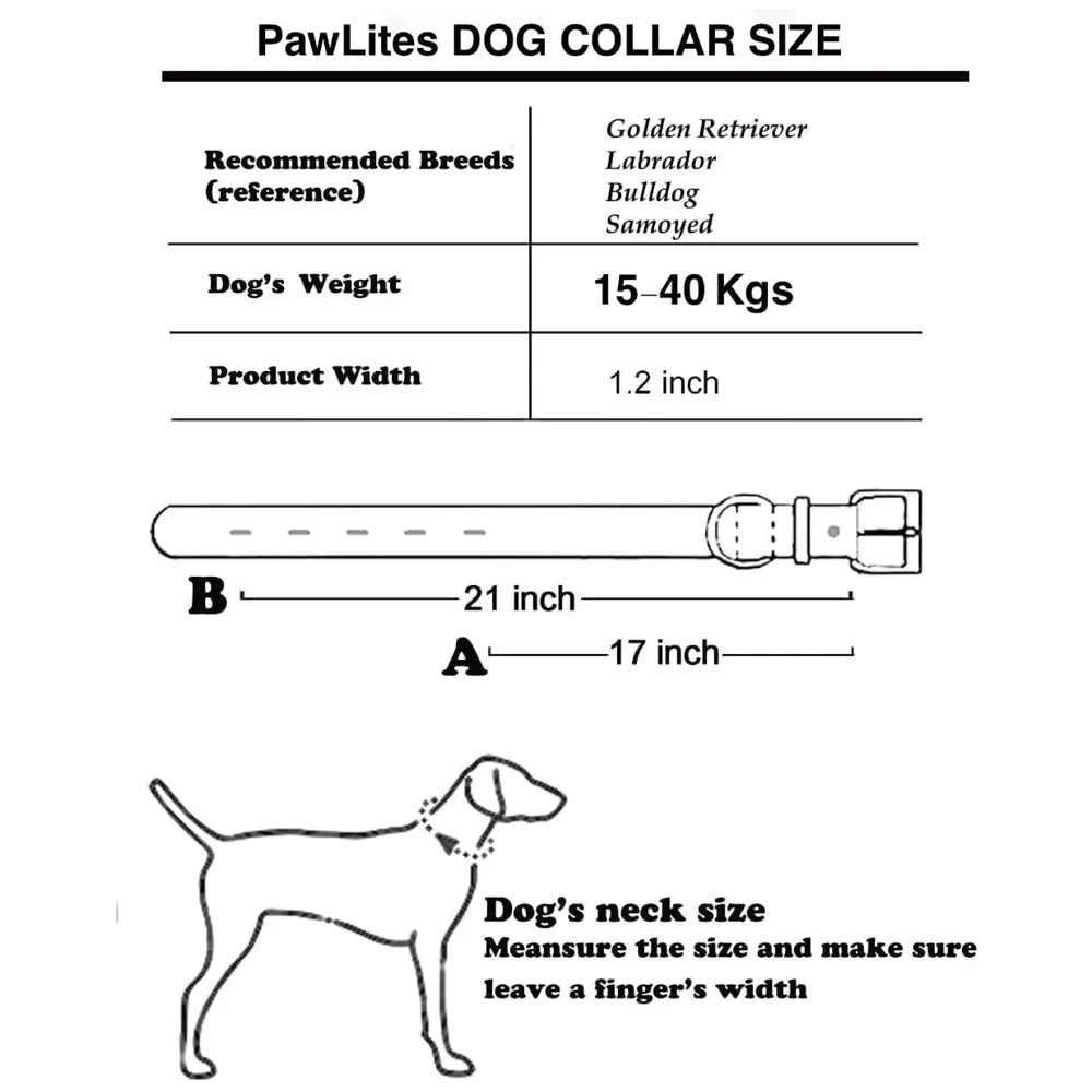 Spiked Dog Collar Purple Adjustable PU Leather Tactical for 52 cm to 45 Cm Neck Girth Spiked Thorn for Medium and Large Dogs Like Golden Retriever Labrador German Shepard Doberman - 4