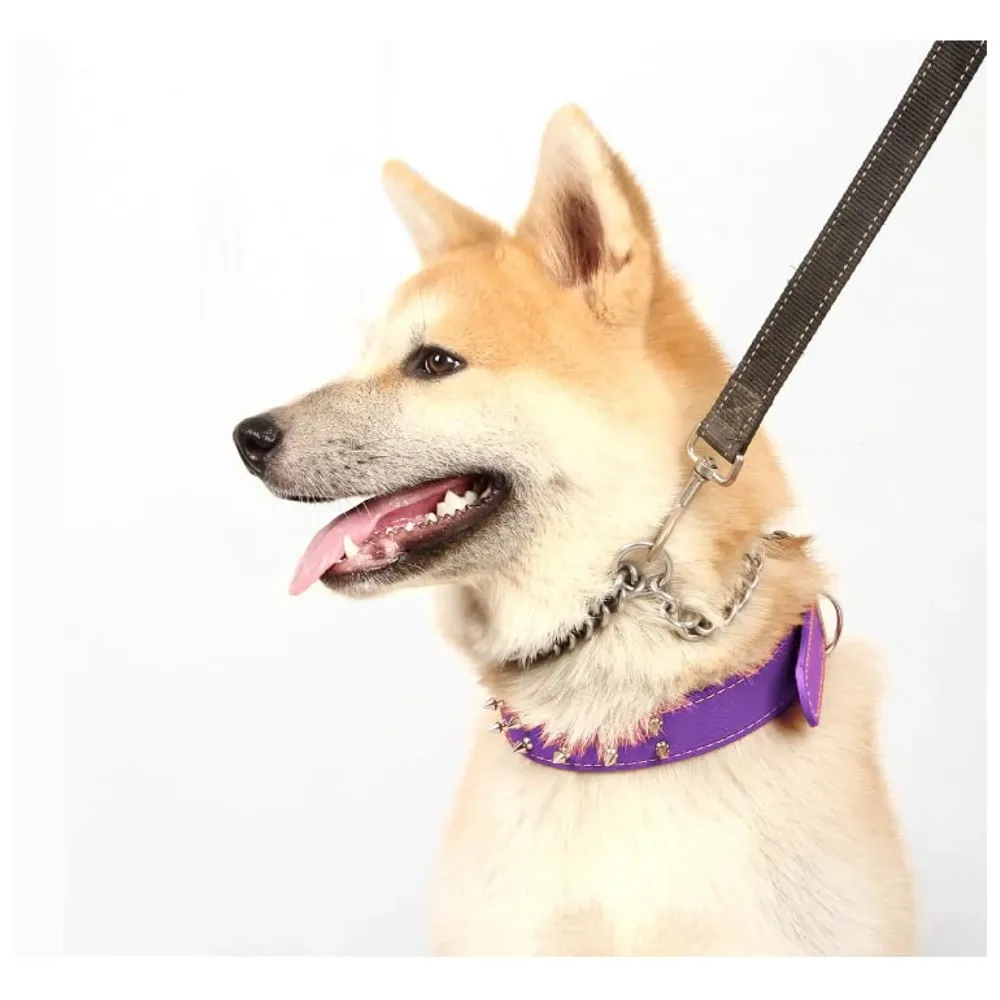 Spiked Dog Collar Purple Adjustable PU Leather Tactical for 52 cm to 45 Cm Neck Girth Spiked Thorn for Medium and Large Dogs Like Golden Retriever Labrador German Shepard Doberman