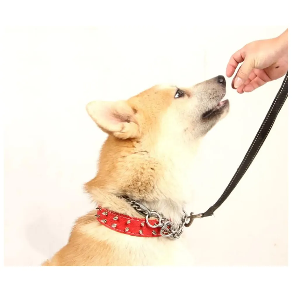 Spiked Dog Collar Red Adjustable PU Leather Tactical Metal Buckle for 52 cm to 45 Cm Neck Girth Spiked Thorn for Medium and Large Dogs Like Golden Retriever Labrador German Shepard Doberman