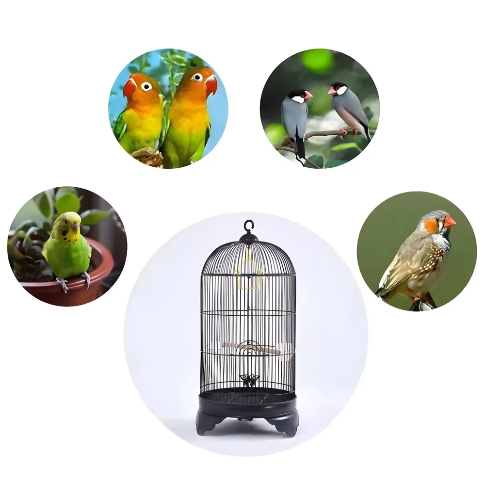 Bird Cage Black, Iron, Round, Metal Bird Cage, House Parrot, Myna, Metal Cage, Easy to Clean, Large Moving Space, Size (Large (60 x 35 CM))